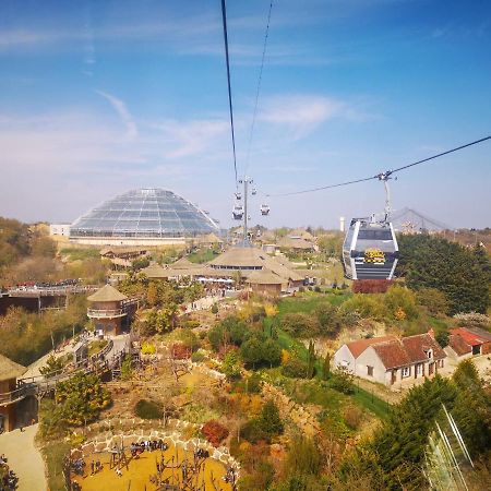 Le Chant Des Oiseaux, 3Km Du Zoo De Beauval, Parking Gratuit ,Wifi Et Netflix Gratuits Saint-Aignan  Dış mekan fotoğraf