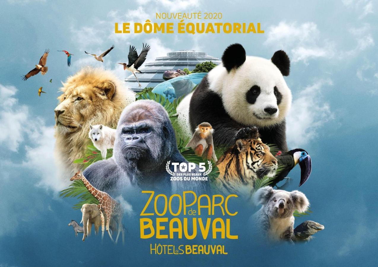 Le Chant Des Oiseaux, 3Km Du Zoo De Beauval, Parking Gratuit ,Wifi Et Netflix Gratuits Saint-Aignan  Dış mekan fotoğraf